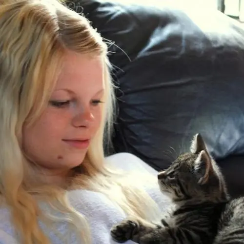 miriamcat image 2
